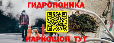 гидропоника Тверь
