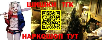 гидропоника Тверь