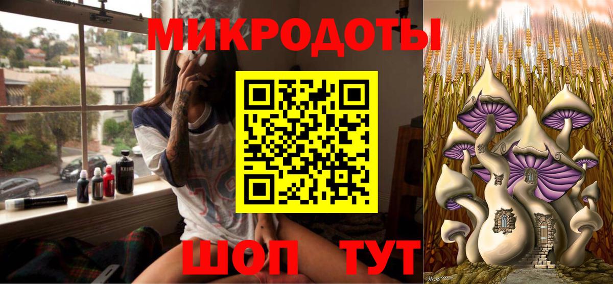 Галлюциногенные грибы Psilocybe Новоалександровск