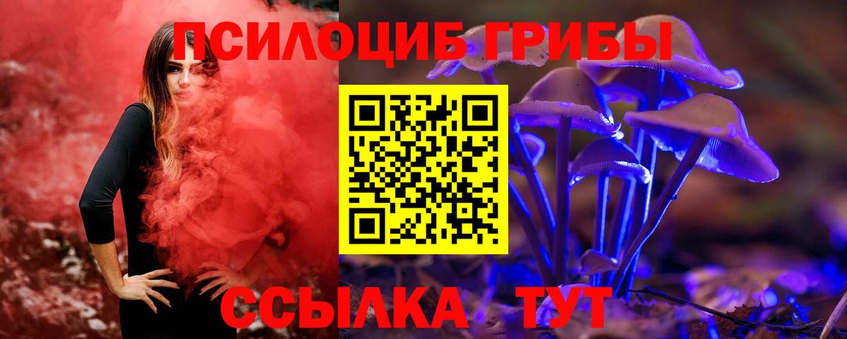 Галлюциногенные грибы Psilocybe  Псилоцибиновые грибы GOLDEN TEACHER  Вход с VPN  закладка  Новоалександровск 